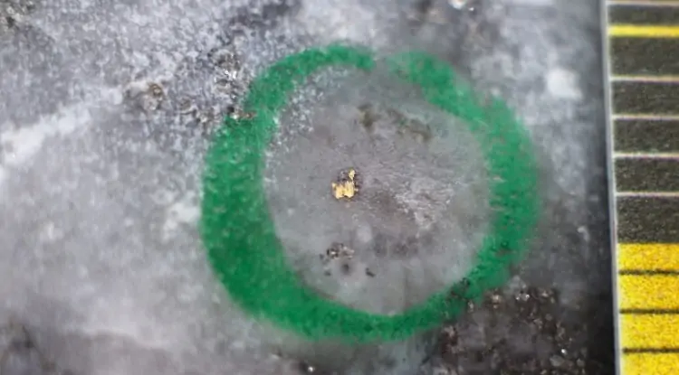 New Found Gold drilling confirms high-grade at recently discovered K2 zone