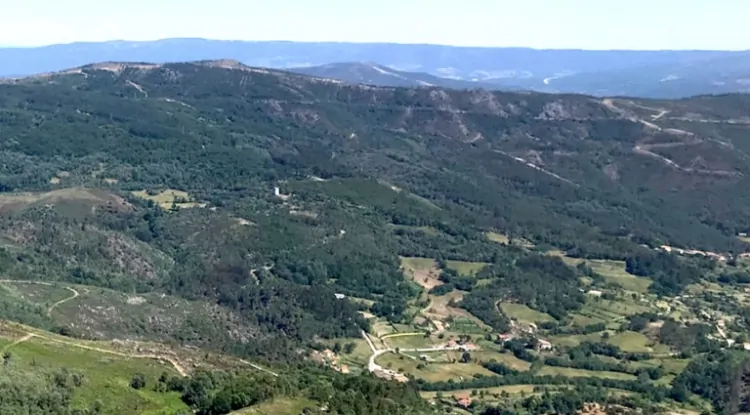 UN committee says Portugal kept information on lithium mine from public scrutiny